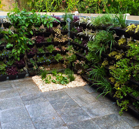 Sod Landscaping Design Brisbane - Green Walls