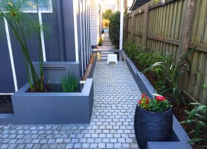 Sod Landscaping - Courtyard