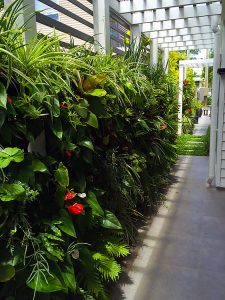 Sod Landscaping - Vertical Garden