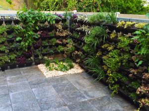 Sod Landscaping - Vertical Garden